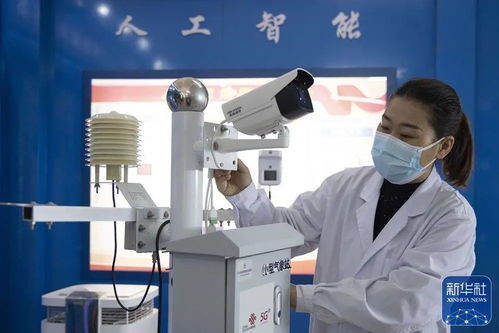 央媒看龍江 中國最北自貿(mào)區(qū)，數(shù)字經(jīng)濟(jì)與綠色科技雙引擎驅(qū)動(dòng)發(fā)展